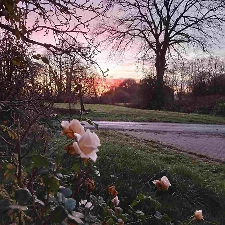 Blanc - 3 Star 1st Floor With Jacuzzi And Heated Pool